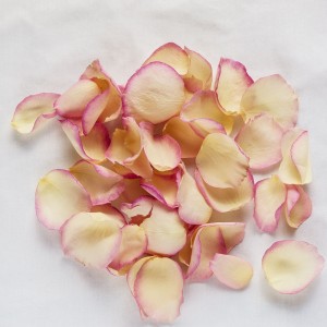 Flower Petals (400/pcs in bag)