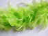 2yds Feather Boa - 20gr. Colours: White and Red