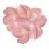 Flower Petals (400/pcs in bag)